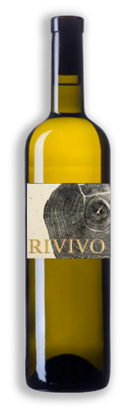 ticino-doc-bianco-di-merlot-rivivo-2024-terre-dautunno