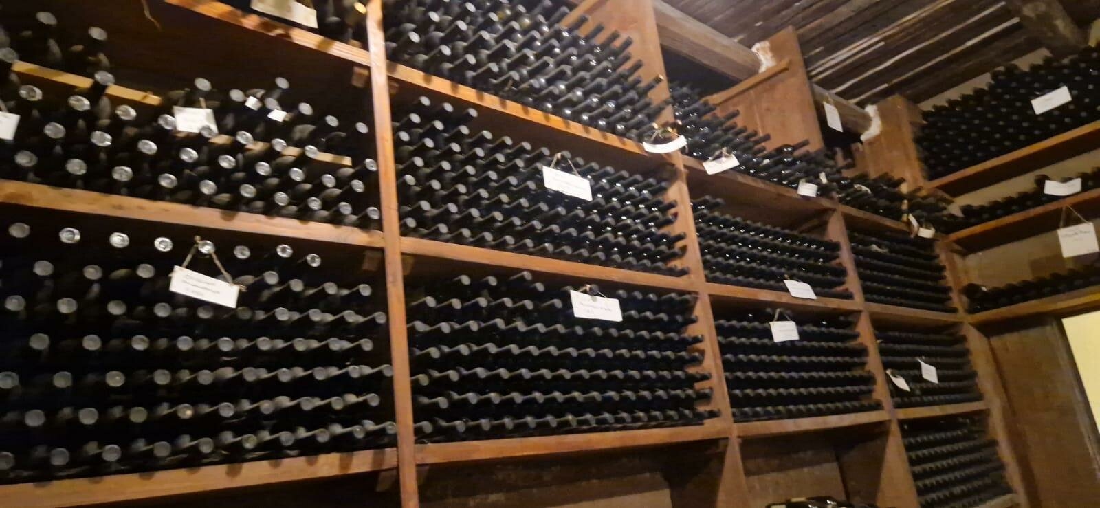 photo-2025-11-16-15-29-16.jpeg photo-2025-11-16-15-29-16.jpeg