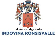 logo indovinaronsisvalle.jpeg