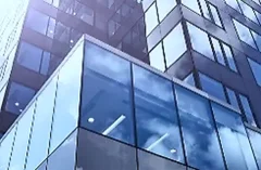 fin