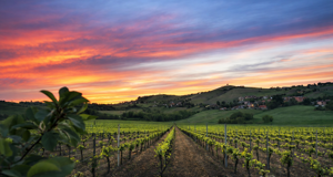 Ca di Brac arch. Jacopo Bonini