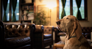 Ca di Brac arch. Jacopo Bonini