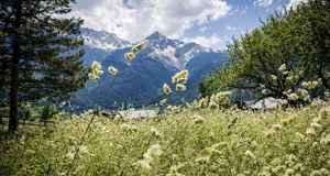 Le Pilier Courmayeur arch. Jacopo Bonini