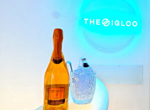 milanoflats%20-%20igloo%20-%20letto%20e%20vasca.jpeg