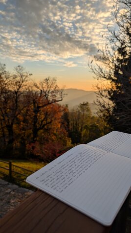 pxl_20241202_151004513.jpeg pxl_20241202_151004513.jpeg