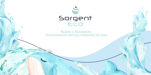sorgenteco slide sorgenteco slide