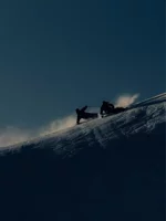 sci-volkl-peregrine-72-master-wc-plate-black-comp-16-gw-purple-2026