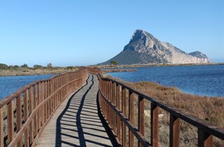 Tavolara, domus lughente Tavolara, domus lughente