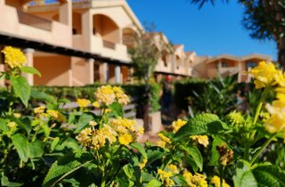 Domus Lughente Domus Lughente