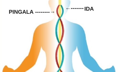 Antonella Esposito - Naturopata tel. 3397872634 - Napoli (Chiaia e Vomero) Antonella Esposito - Naturopata tel. 3397872634 - Napoli (Chiaia e Vomero)