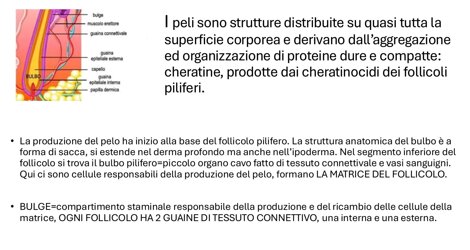 eyJpdCI6IlRSSUNPUElHTUVOVEFaSU9ORSBjb3JzbyBjb21wbGV0byBpbiA0IGxlemlvbmkgLSBVbml2ZXJzaXTgIFBvcG9sYXJlIEF2YWxvbiBBcHMgQ29yc28gTWVyaWRpb25hbGUsIDM5IE5hcG9saSAoTkEpIGNvbnRhdHRvIDM5MjAyMzc0MjMgLSAzOTIwMjM3NDI0IC0gZW1haWwgdW5pYXZhbG9uQGJsdS5pdCAtIGZheCAwODEuNTg0NDUyMyAifQ==