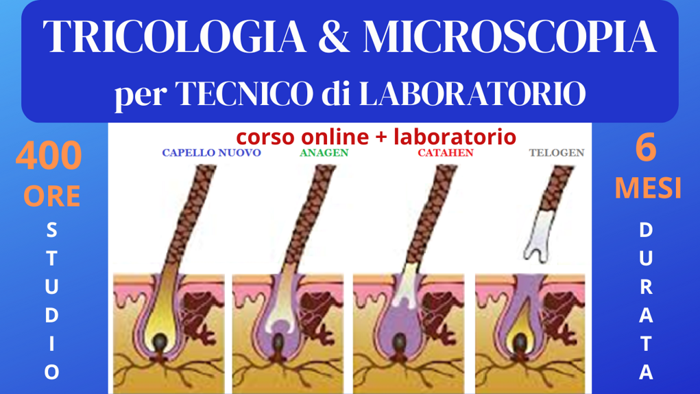 Tricologia & Microscopia per tecnico di laboratorio - corso di 400 ore di studio in 3 moduli Tricologia & Microscopia per tecnico di laboratorio - corso di 400 ore di studio in 3 moduli
