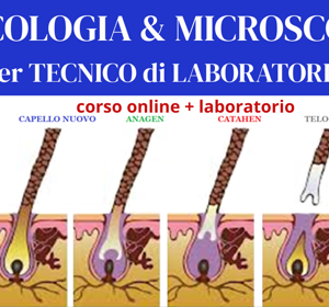 medicina.tradizionale.consul