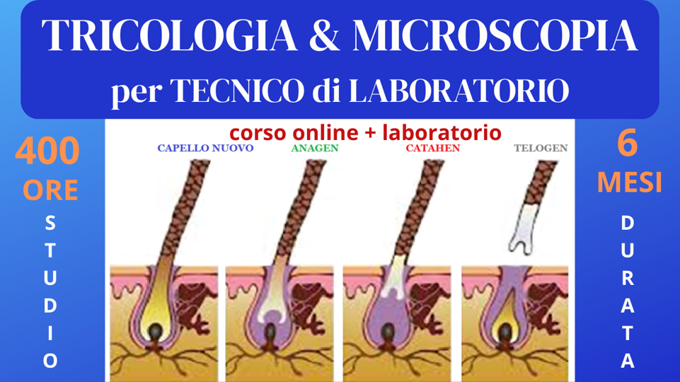 tricologiaµscopia tricologiaµscopia
