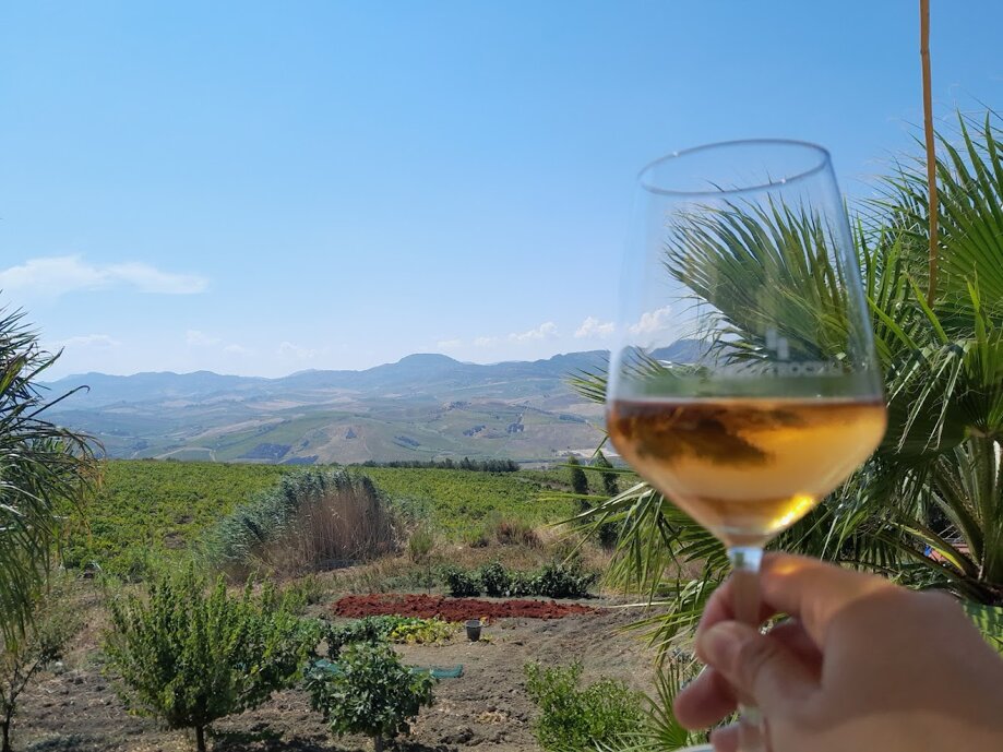 241586_c8f2b05f59bfb893f7a7c14287026d4186699507