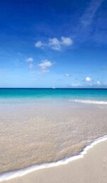 241691_31b71d033d831a2ea334c8edec986f5c1095bb0a 241691_31b71d033d831a2ea334c8edec986f5c1095bb0a