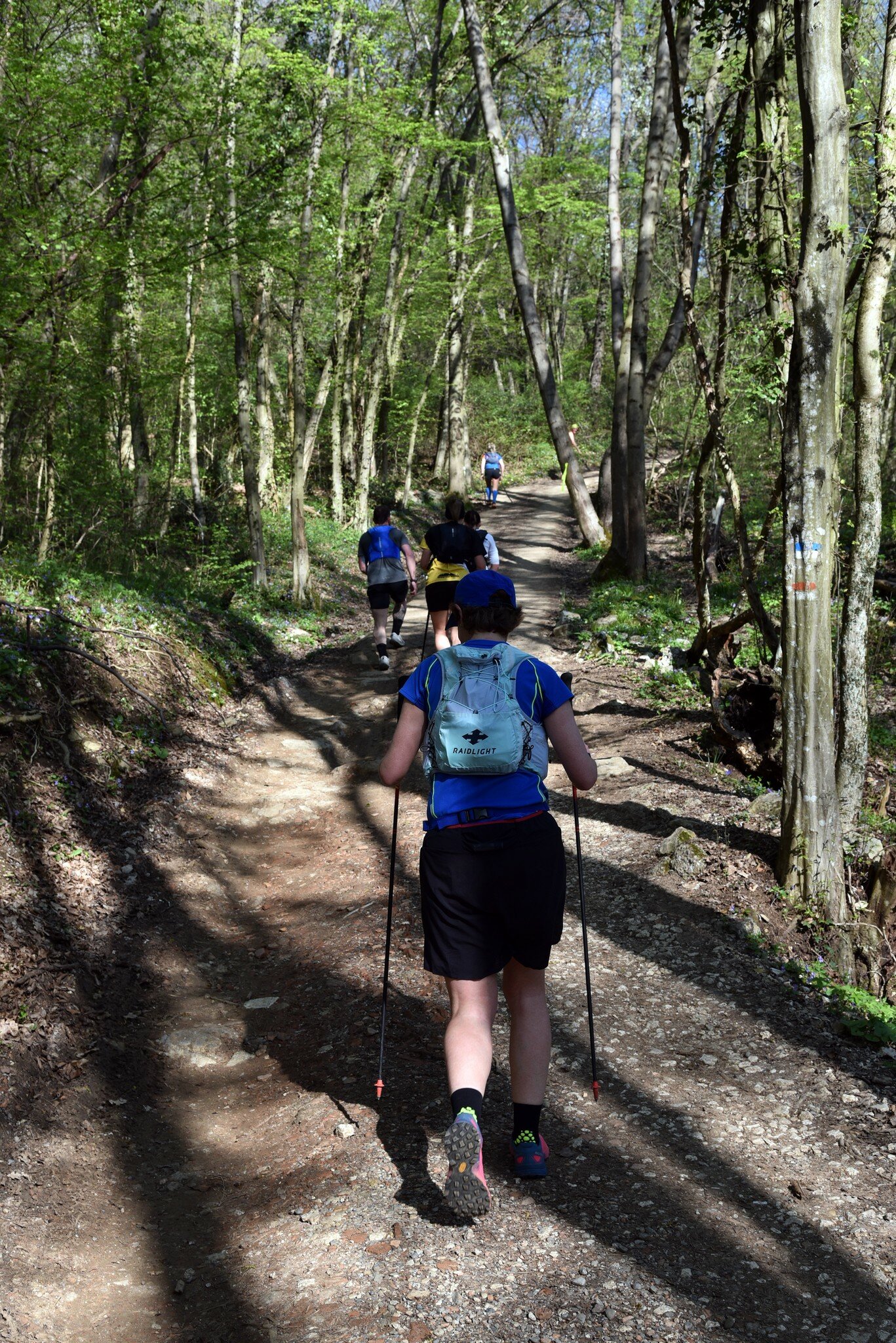 boschi-verticale.jpeg 3 Santi Trail, Val Trompia - Lago Iseo