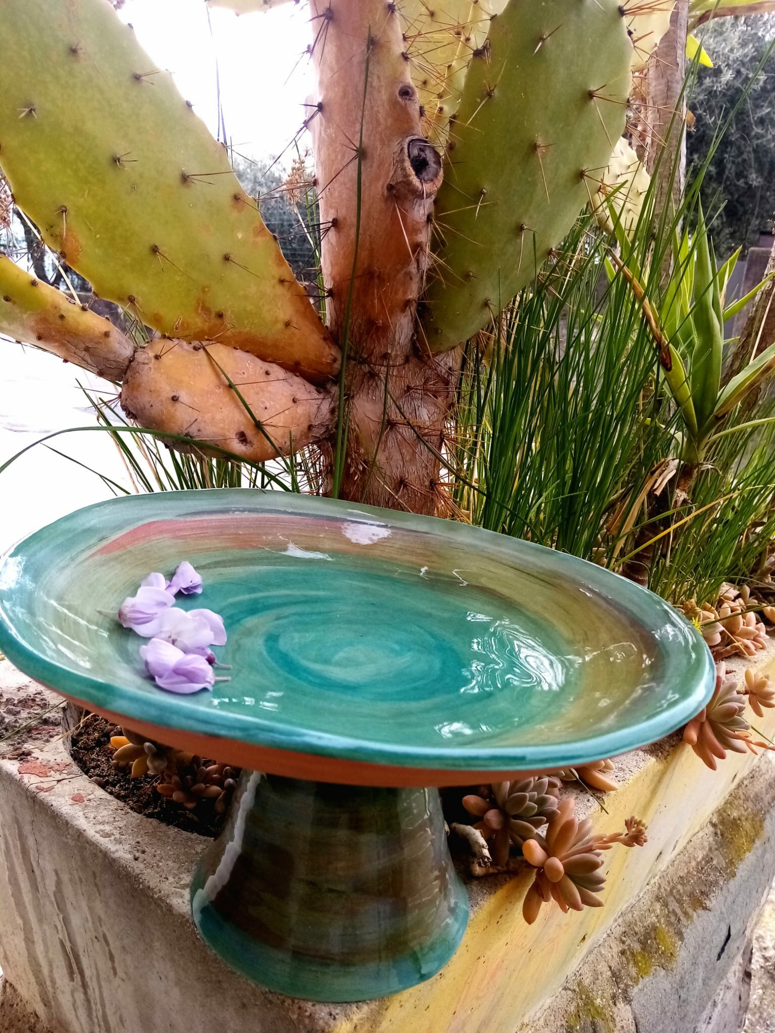 alzata.jpeg La casa di Vello