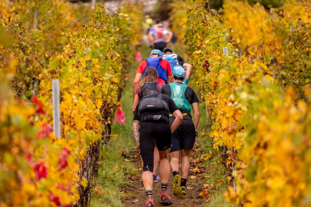 nei-vigneti.webp Valle dei Segni Wine Trail - Lago Iseo, Valle Camonica