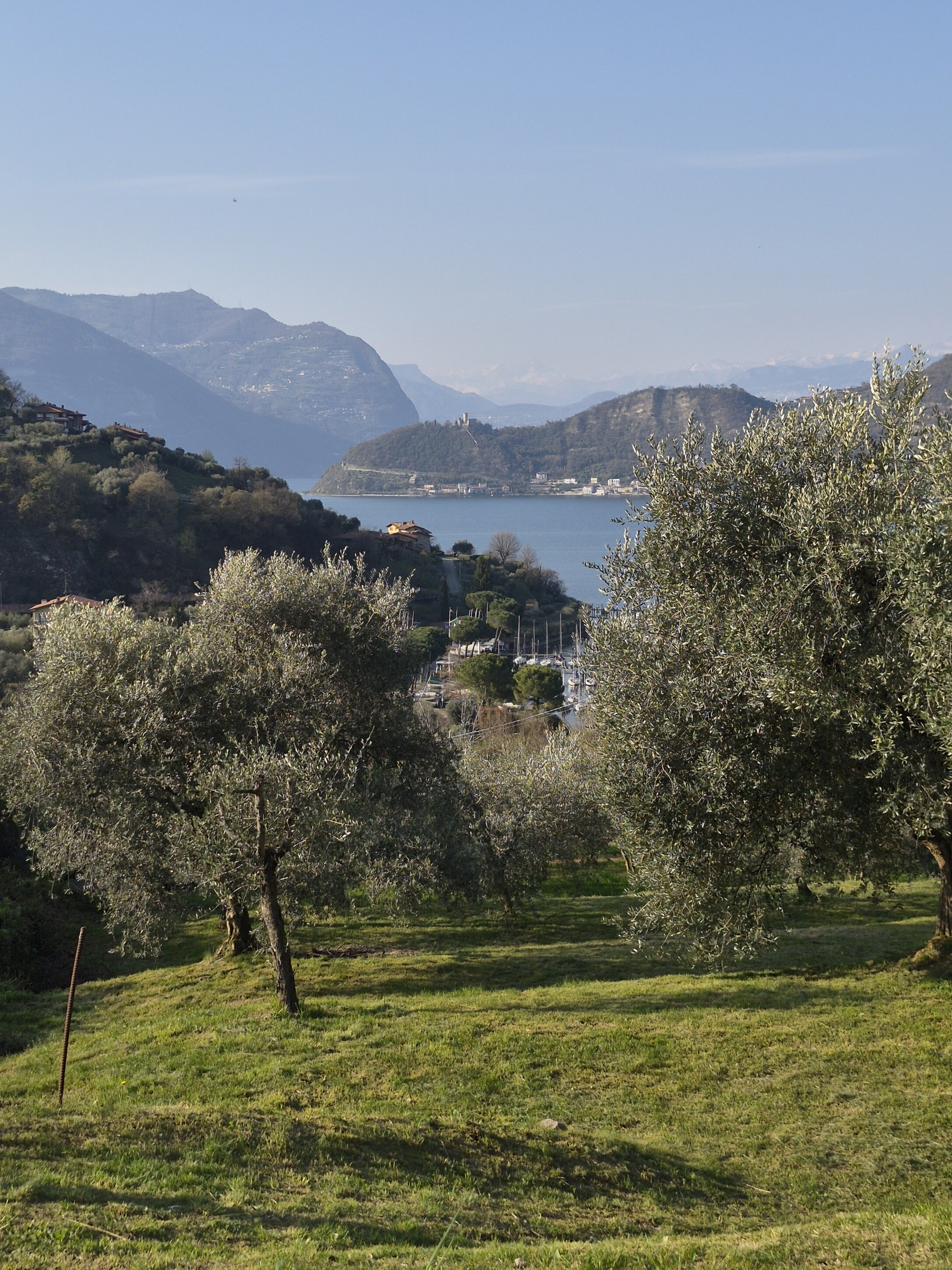 stupenda-valeriana-uliveto-lago-e-montisola.jpeg Ancient Valeriana Road, Iseo Lake