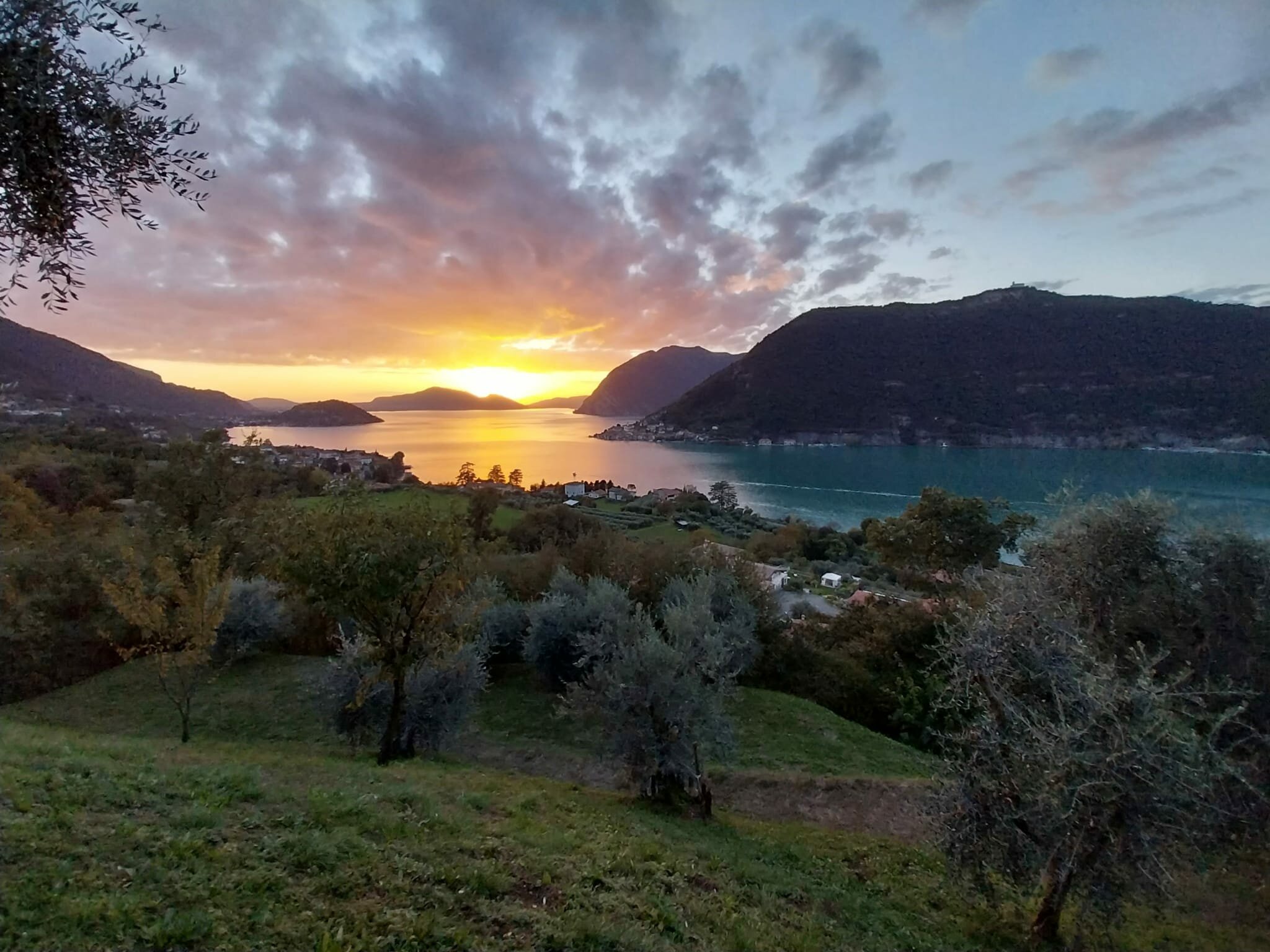 La Ruina: il sogno di vivere di Oleicoultura La Ruina: il sogno di vivere di Oleicoultura