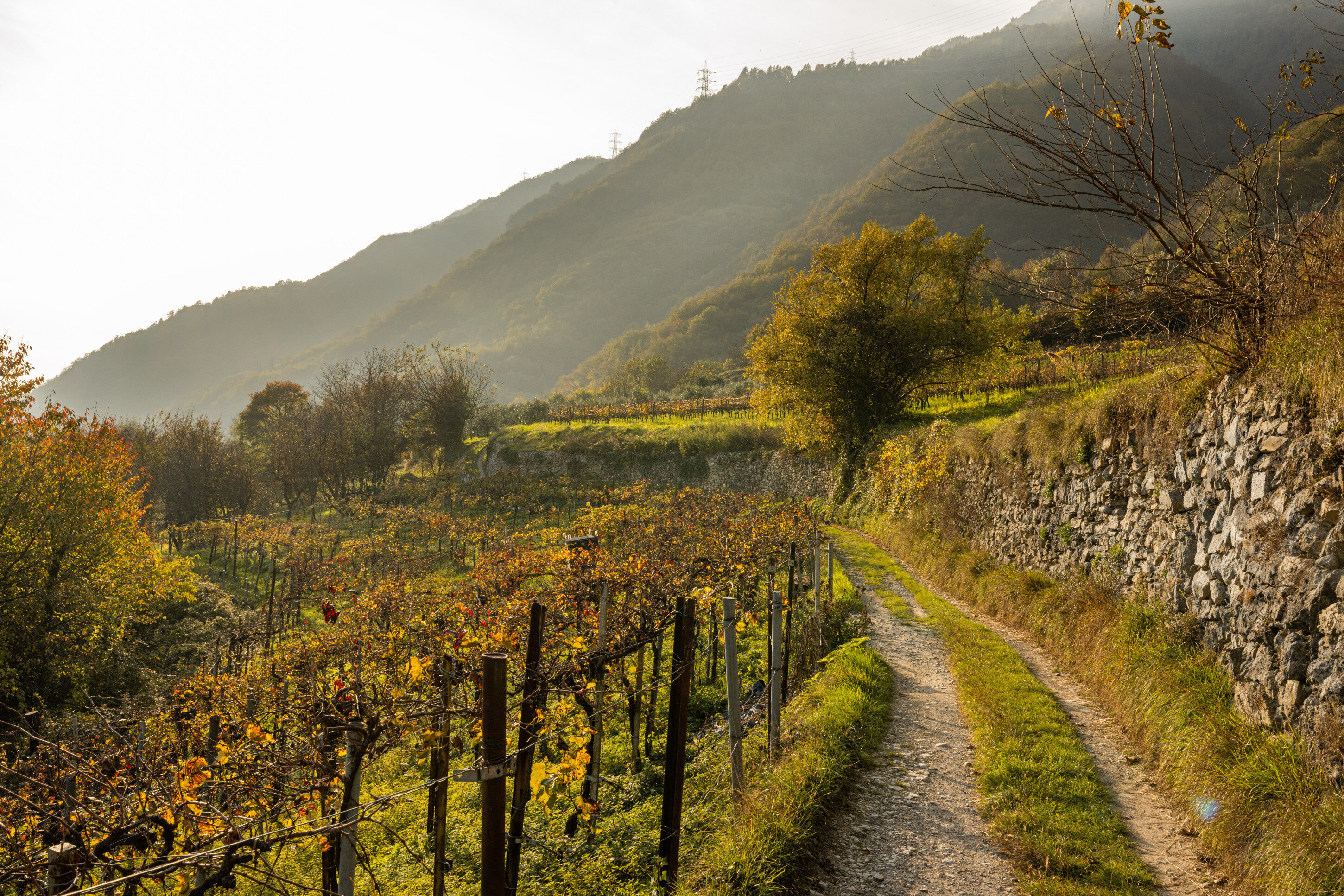 Hike along the Ancient Valeriana Road Ancient Valeriana Road, Iseo Lake