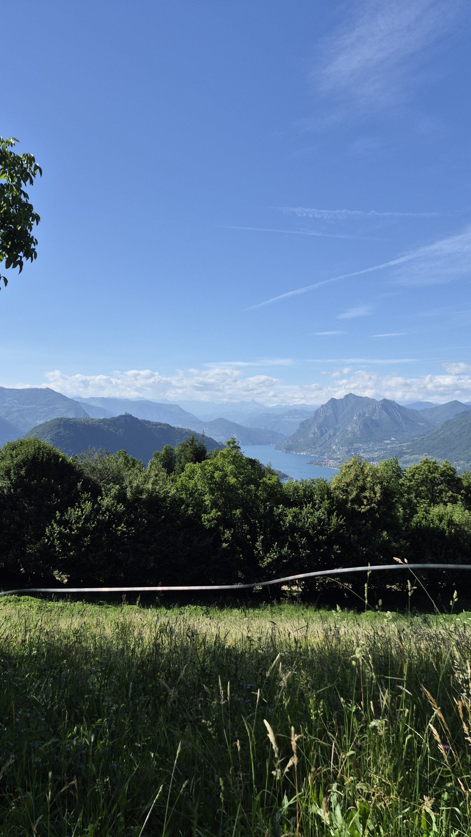bellissima-panorama-vert-lago-e-prati.jpeg