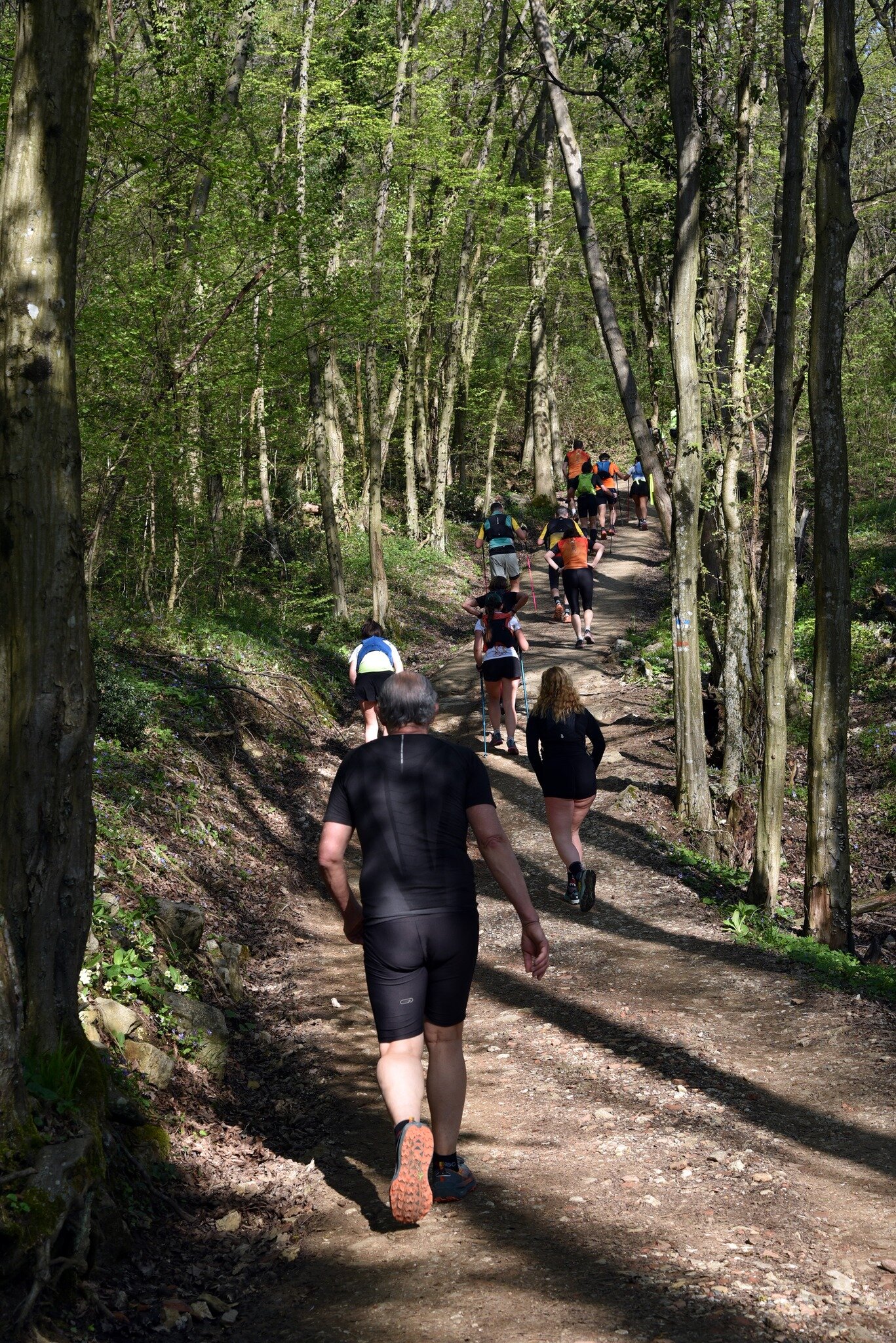 bellissima-boschi-verticale.jpeg 3 Santi Trail, Val Trompia - Lago Iseo