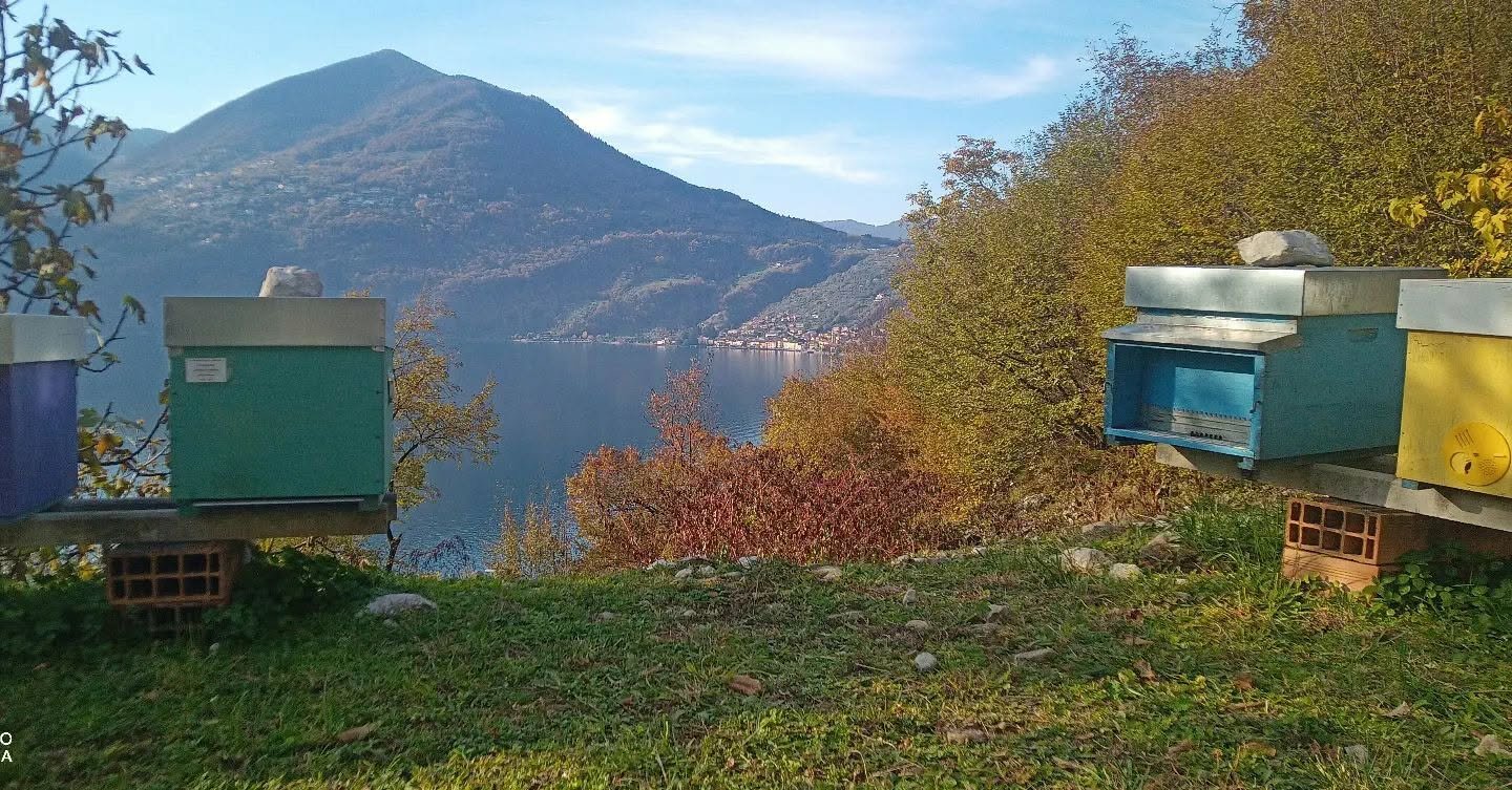 Apicoltura Guerrini Lago Iseo