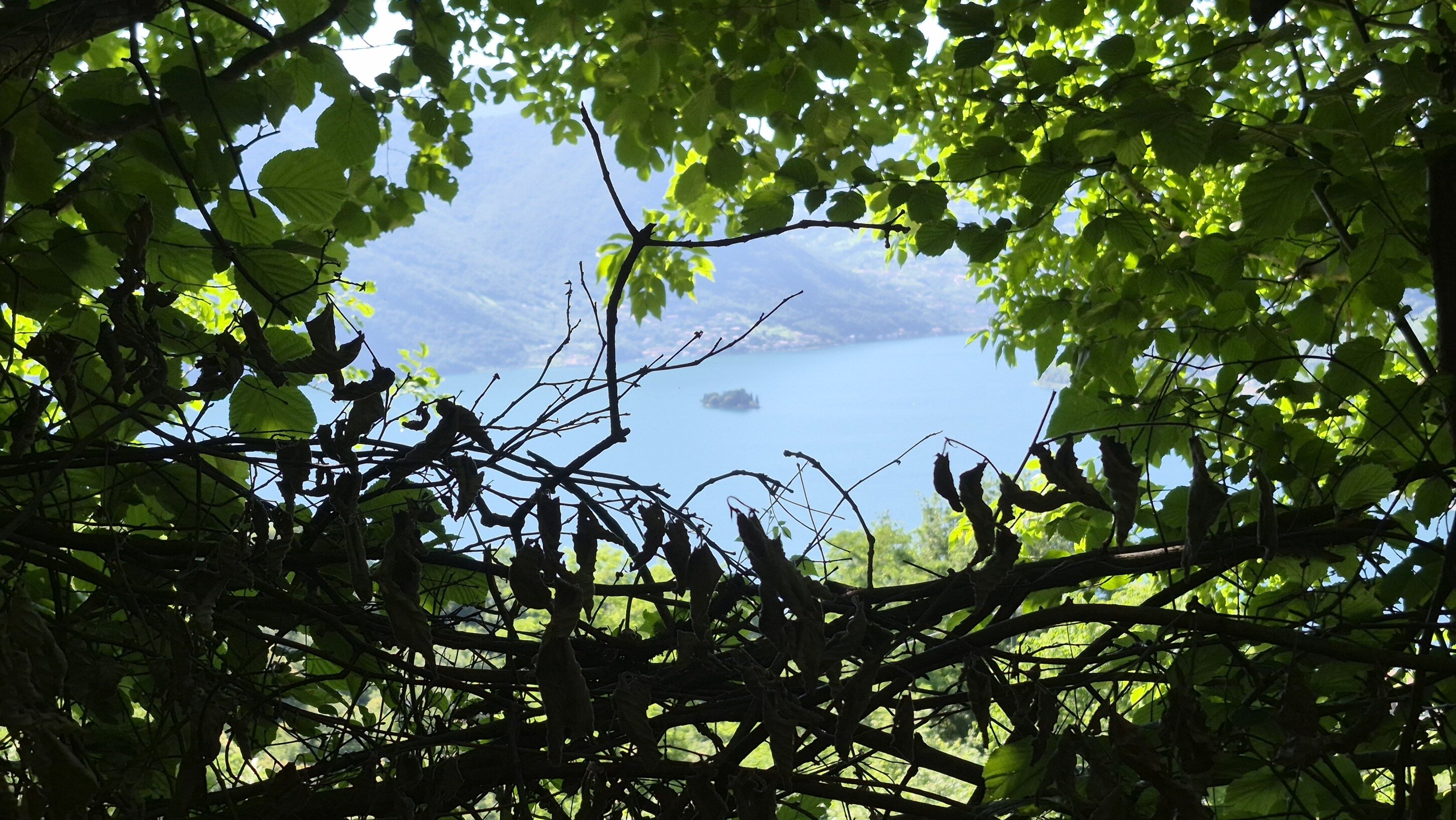 Apicoltura Lago di Iseo