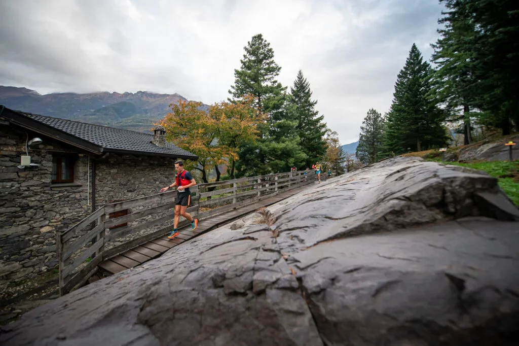 tra-le-incisioni.webp Valle dei Segni Wine Trail - Lago Iseo, Valle Camonica