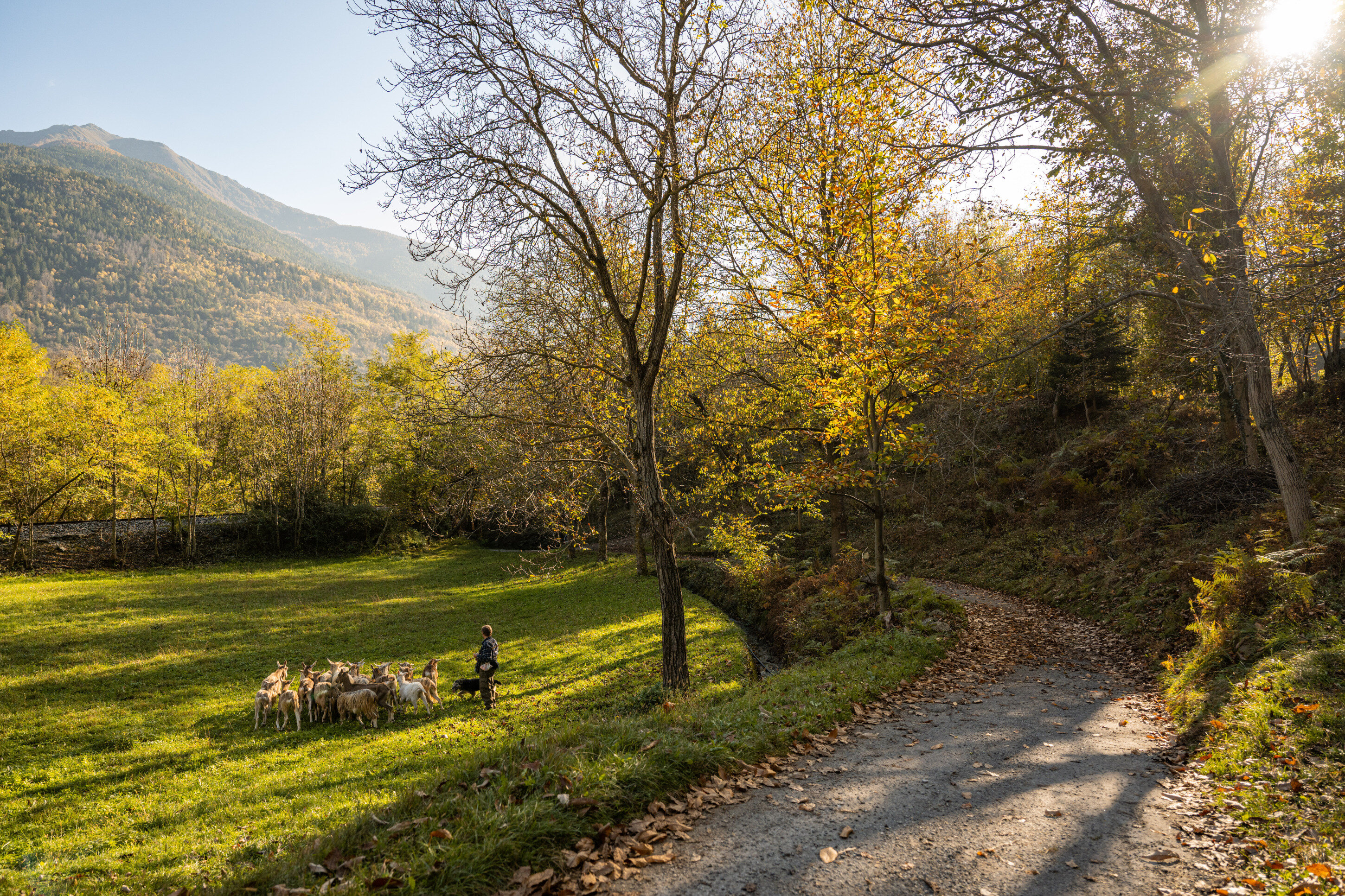 bella-valeriana-e-pastore.jpeg Ancient Valeriana Road, Iseo Lake