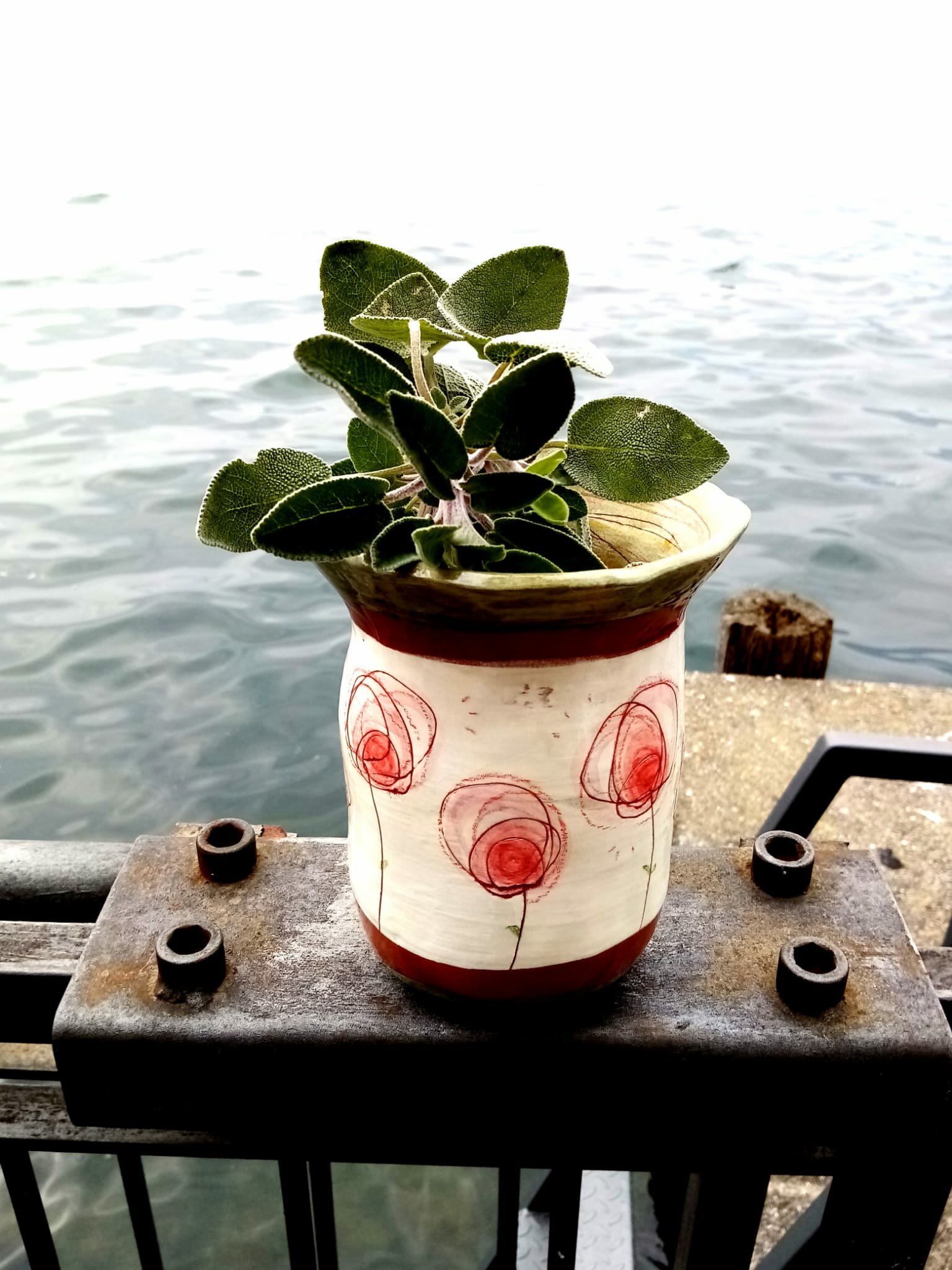 bellissimo-vaso-fiorato-sul-lago.jpeg La casa di Vello