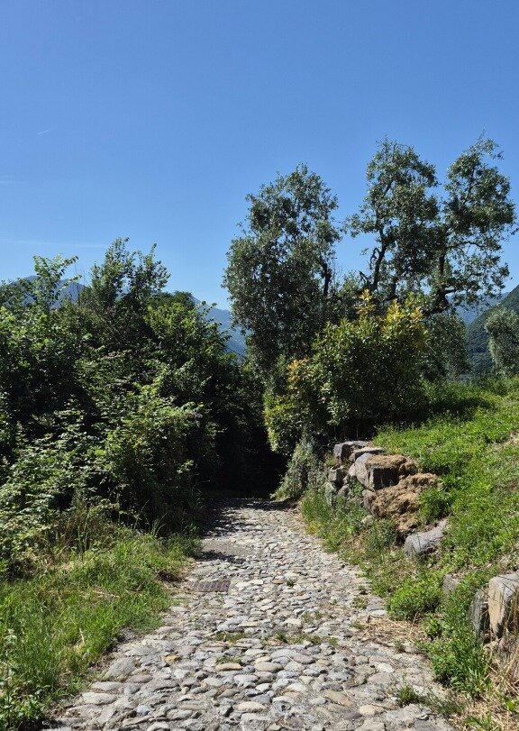 Apicoltura Lago di Iseo