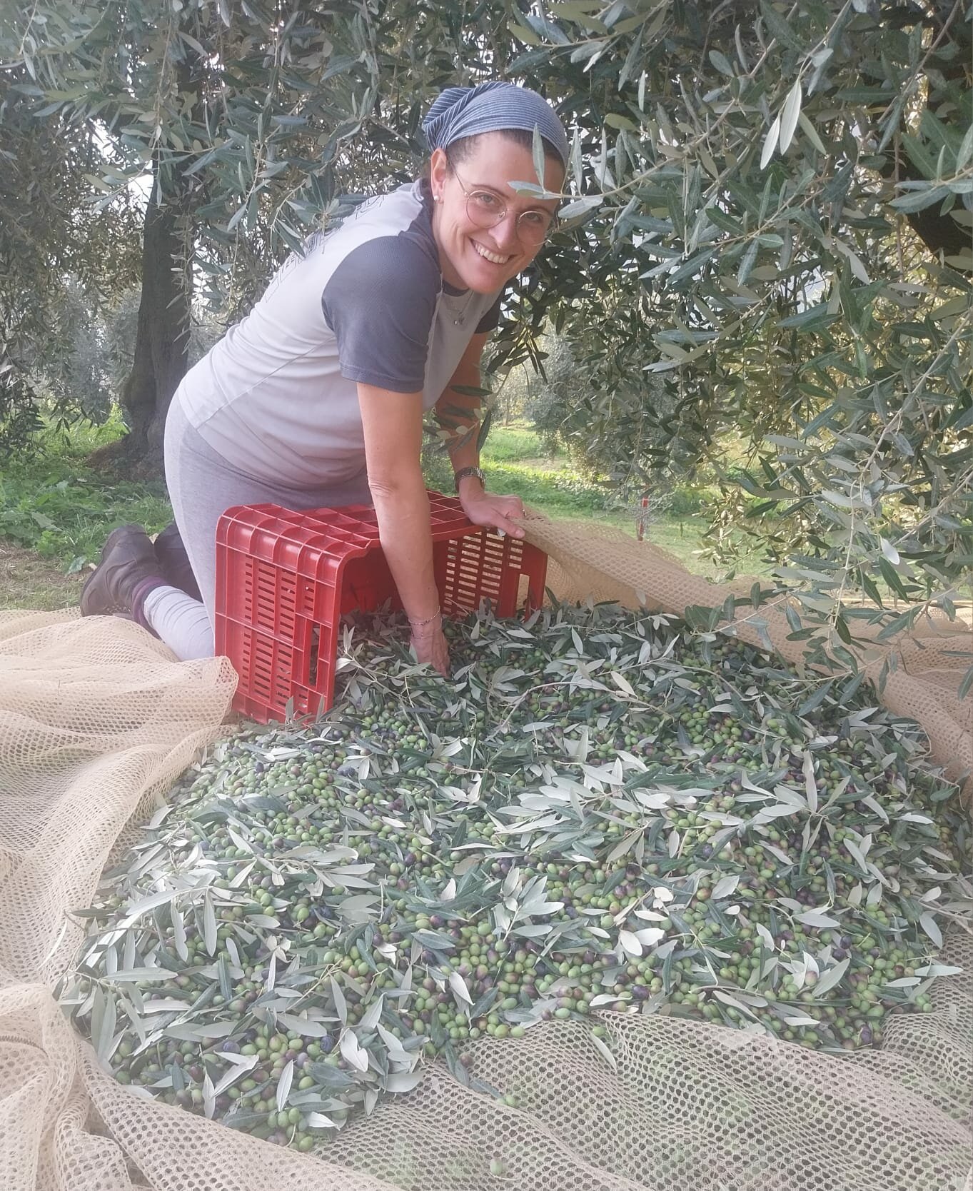 Oleicoltura Lago Iseo La Ruina