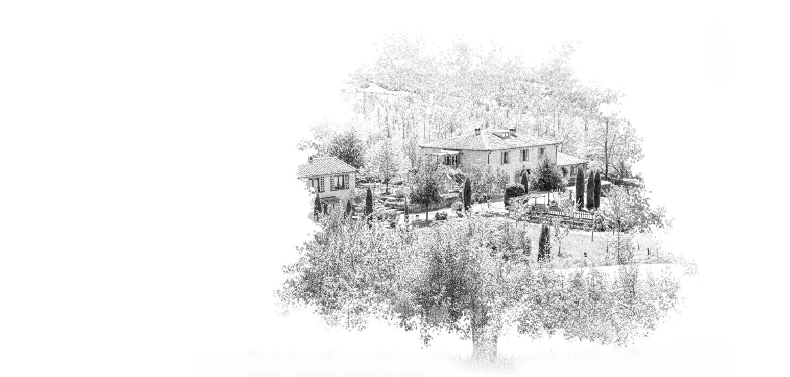 gemini_generated_image_wwk8zwwk8zwwk8zw