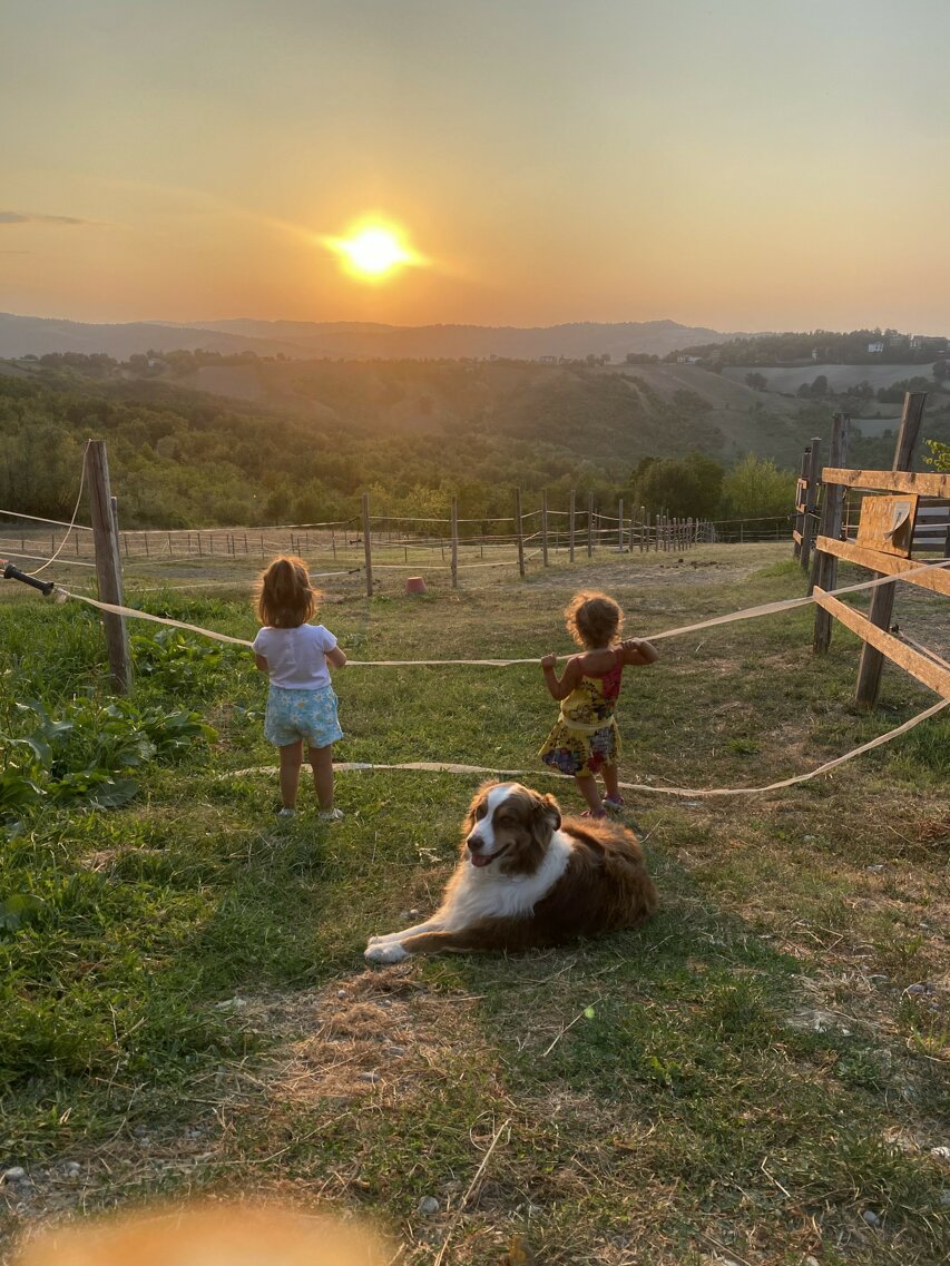 img_2670.jpeg img_2670.jpeg