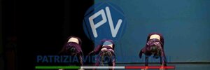 sav_1083.jpeg