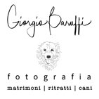 new logo gbfotografia.jpeg