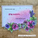 vaessen-creative-timbri-trasparenti-by-carla-creates-flowers-square-edge-11uds