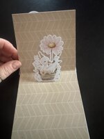 videocorso-kit-minialbum-pop-up