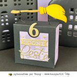 tommy-fustella-box-strappa-e-scopri