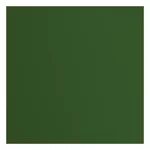 florence-cartoncino-216g-testurizzata-305x305cm-pine