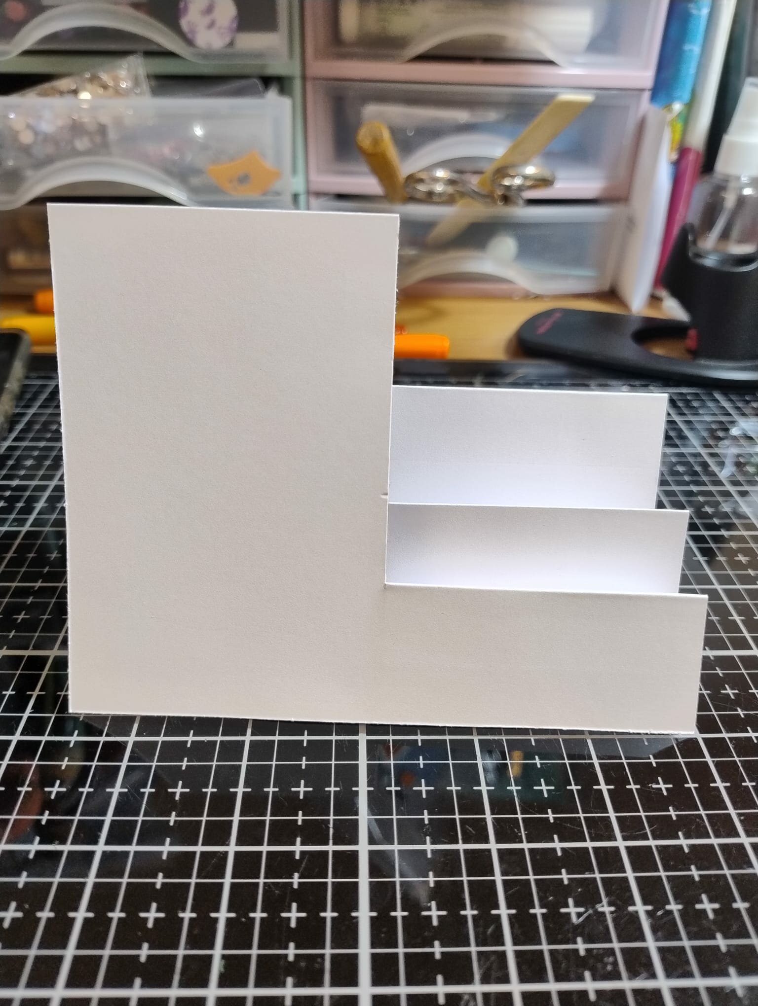 side-stepper-card-finitastruttura-frontale.jpeg side-stepper-card-finitastruttura-frontale.jpeg
