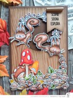 fustella-nutty-explorers