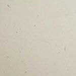 dcc-carta-basic-betulla