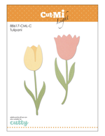 tulipani