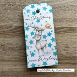 vaessen-creative-timbri-trasparenti-renna-co-14pz