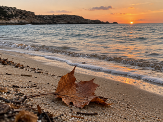 foglia autunnale sulla spiaggia al tramonto foglia autunnale sulla spiaggia al tramonto