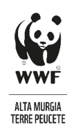 wwf